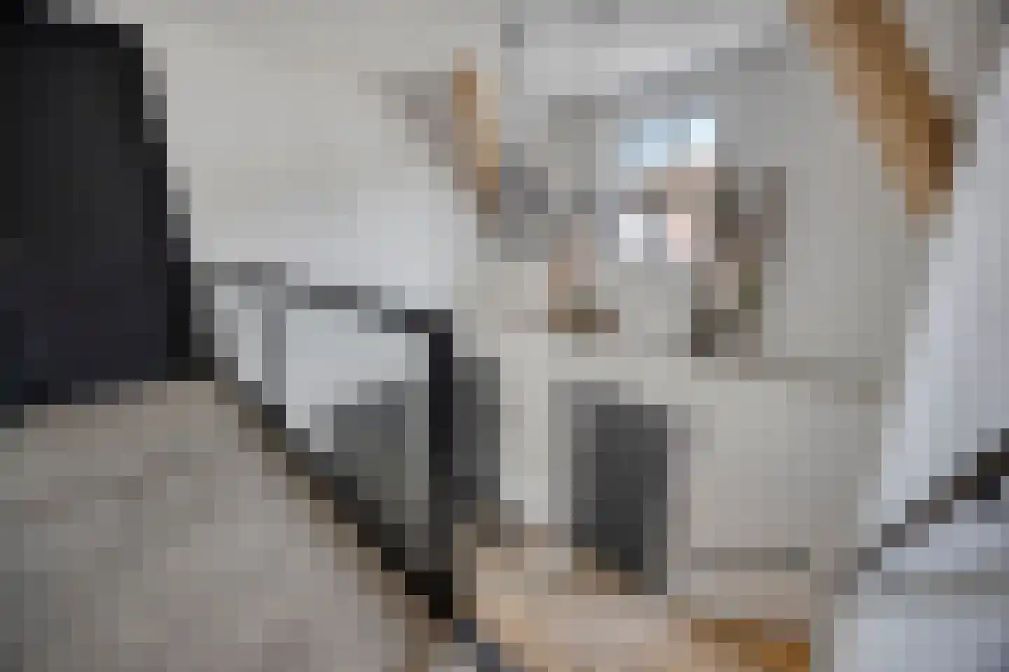 Heerseweg 20 Veldhoven thumbnail 33