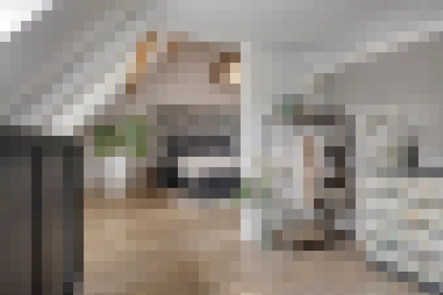 Heerseweg 20 Veldhoven thumbnail 35