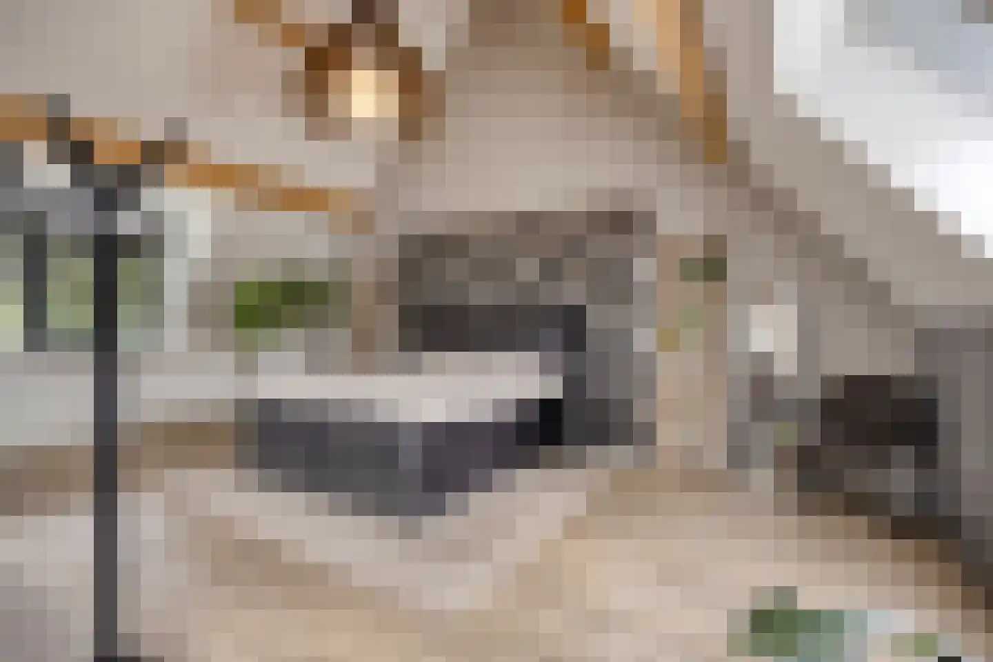 Heerseweg 20 Veldhoven thumbnail 36