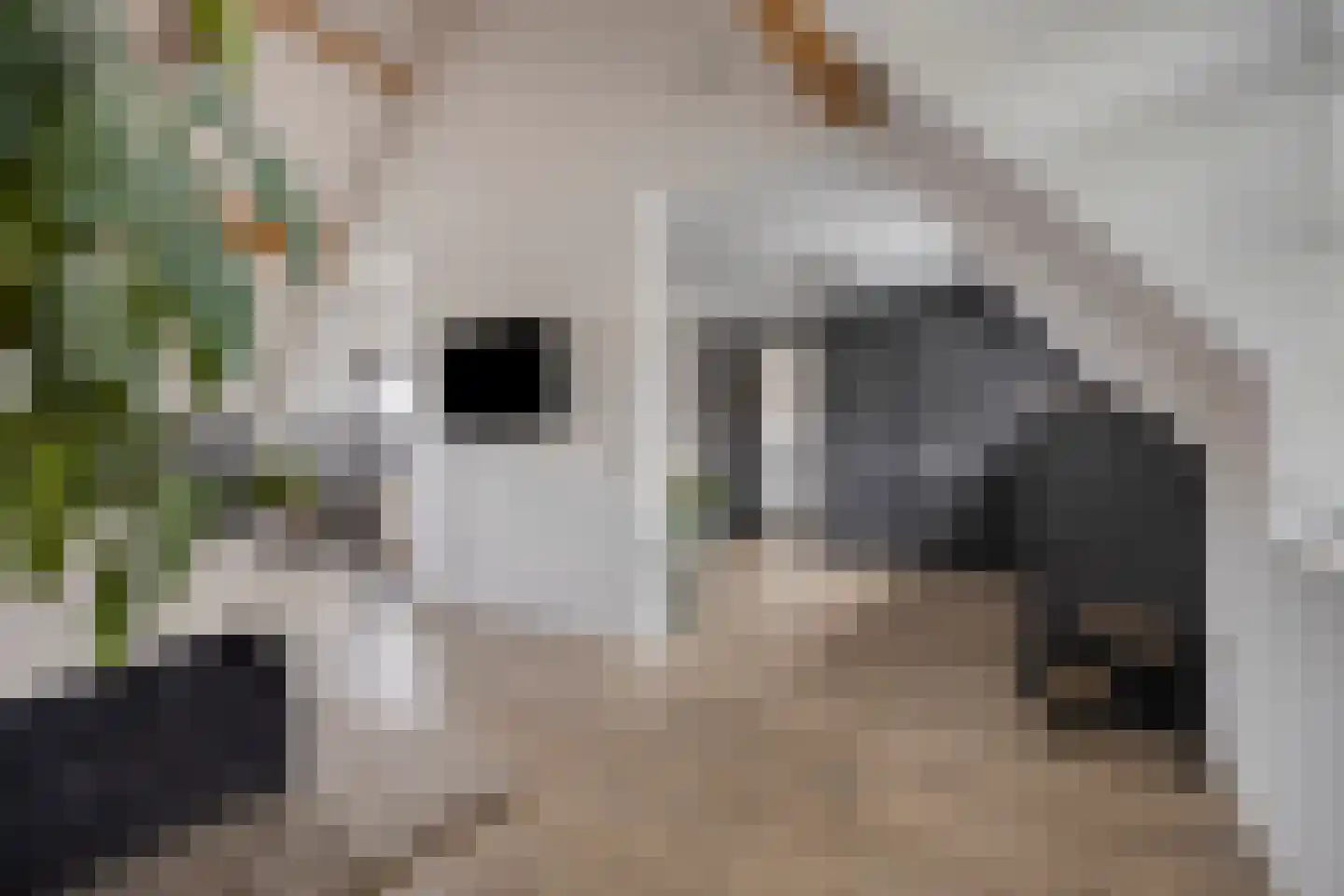 Heerseweg 20 Veldhoven thumbnail 37