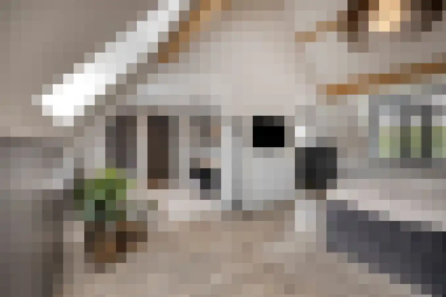 Heerseweg 20 Veldhoven thumbnail 38