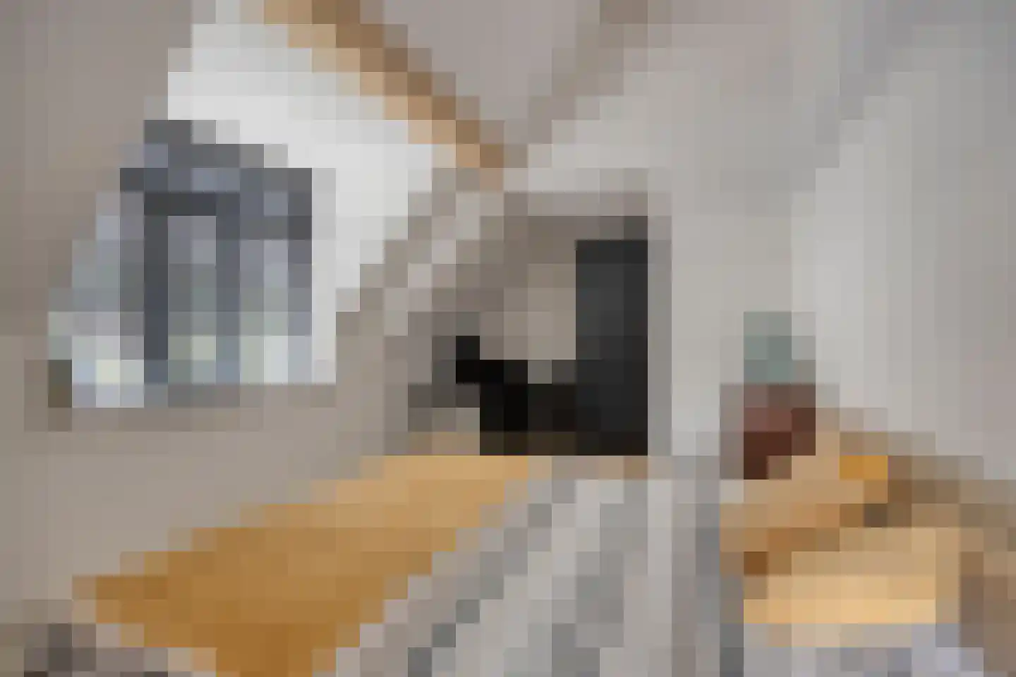 Heerseweg 20 Veldhoven thumbnail 45