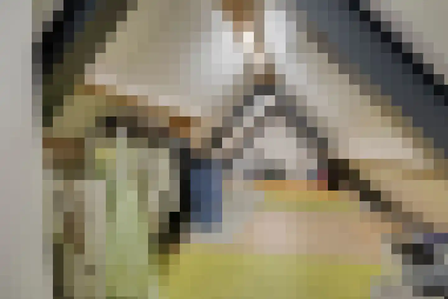 Heerseweg 20 Veldhoven thumbnail 50