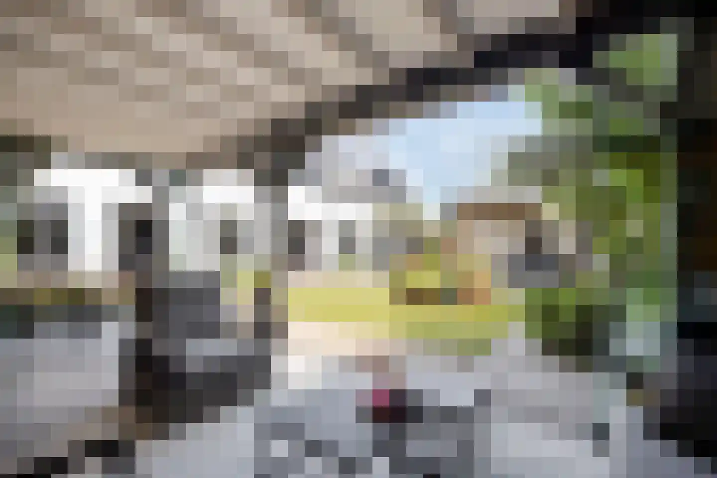 Heerseweg 20 Veldhoven thumbnail 62
