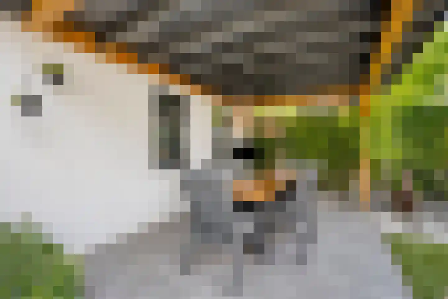 Heerseweg 20 Veldhoven thumbnail 63