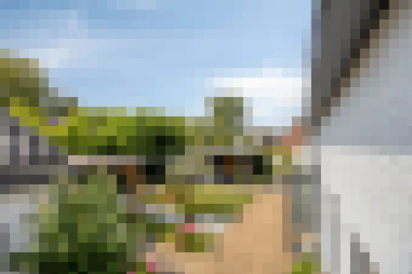 Heerseweg 20 Veldhoven thumbnail 64