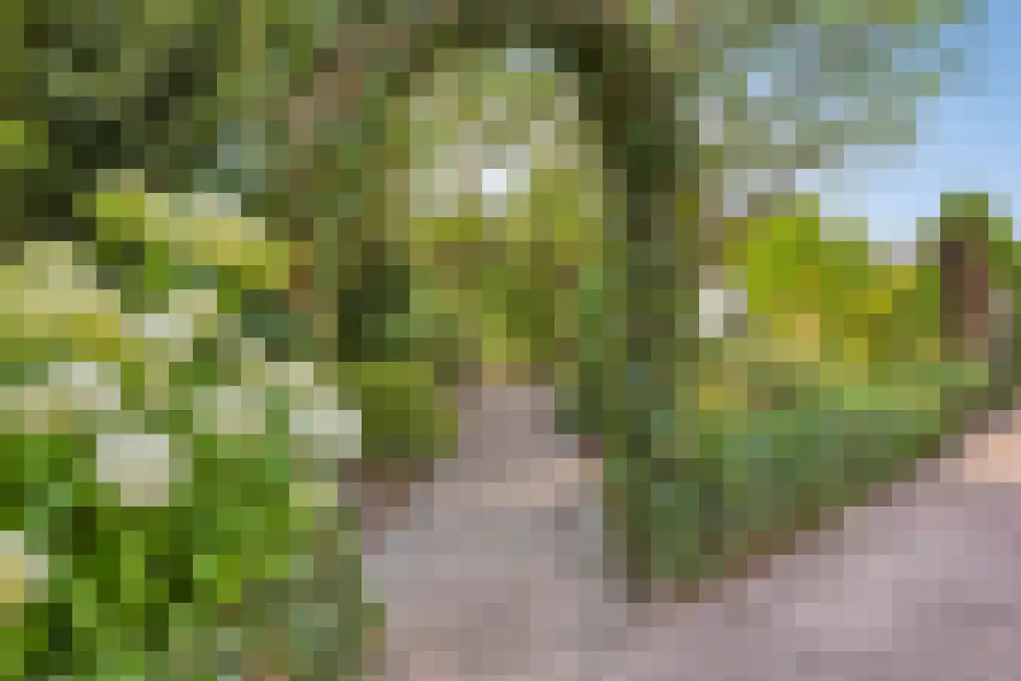 Heerseweg 21 Veldhoven thumbnail 28