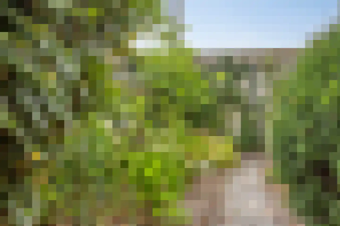 Heerseweg 21 Veldhoven thumbnail 30