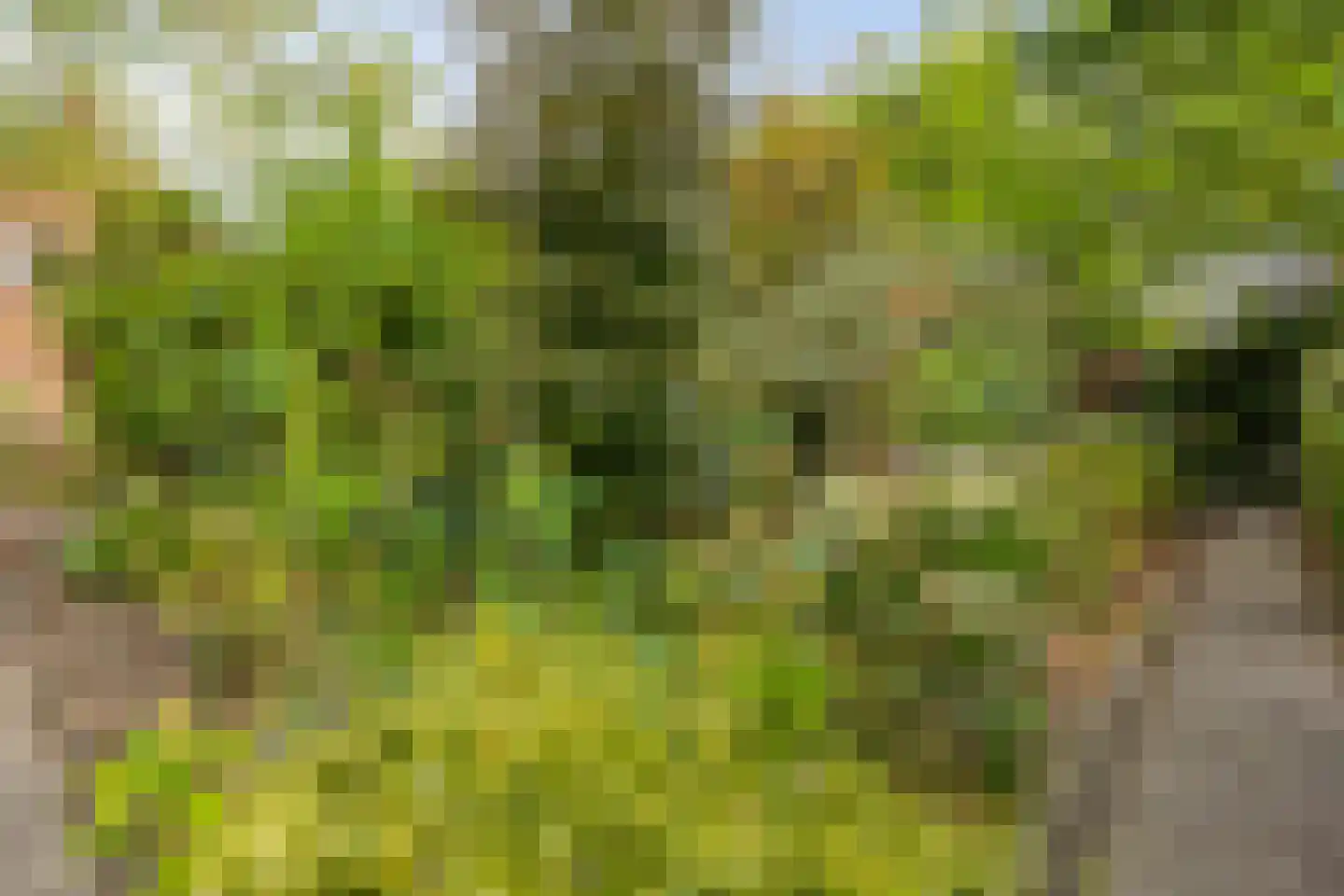 Heerseweg 21 Veldhoven thumbnail 31