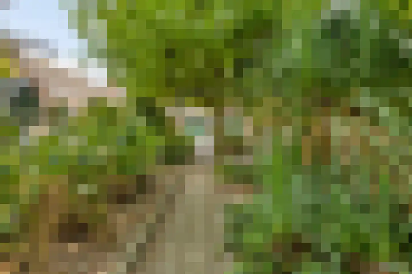 Heerseweg 21 Veldhoven thumbnail 32