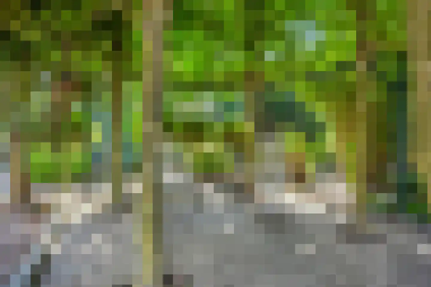 Heerseweg 21 Veldhoven thumbnail 33