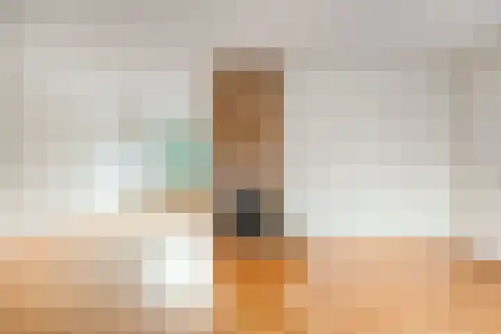 Heersmeeth 8 Heiloo thumbnail 13