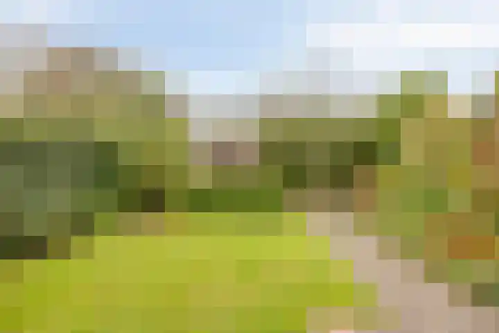 Heersmeeth 8 Heiloo thumbnail 17