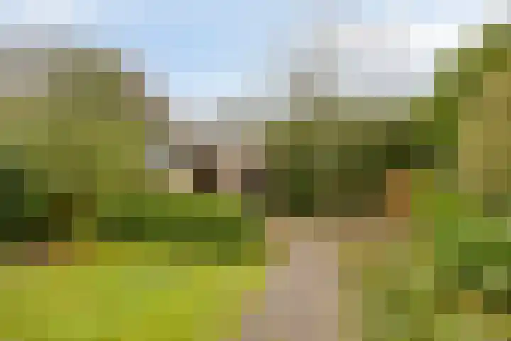 Heersmeeth 8 Heiloo thumbnail 19