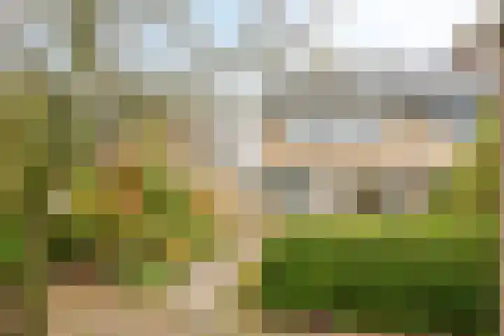 Heersmeeth 8 Heiloo thumbnail 20
