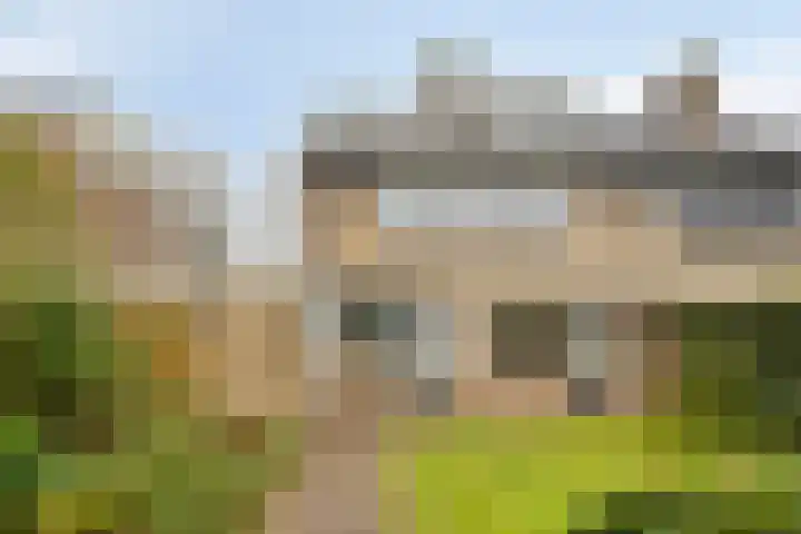 Heersmeeth 8 Heiloo thumbnail 21