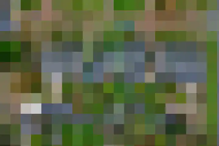 Heersmeeth 8 Heiloo thumbnail 22