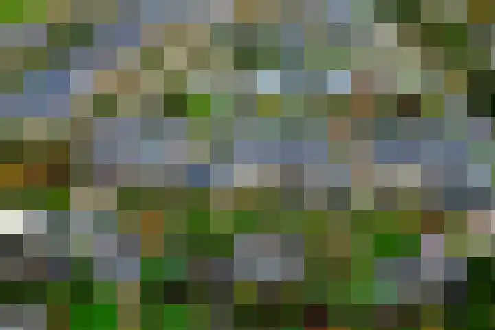 Heersmeeth 8 Heiloo thumbnail 23