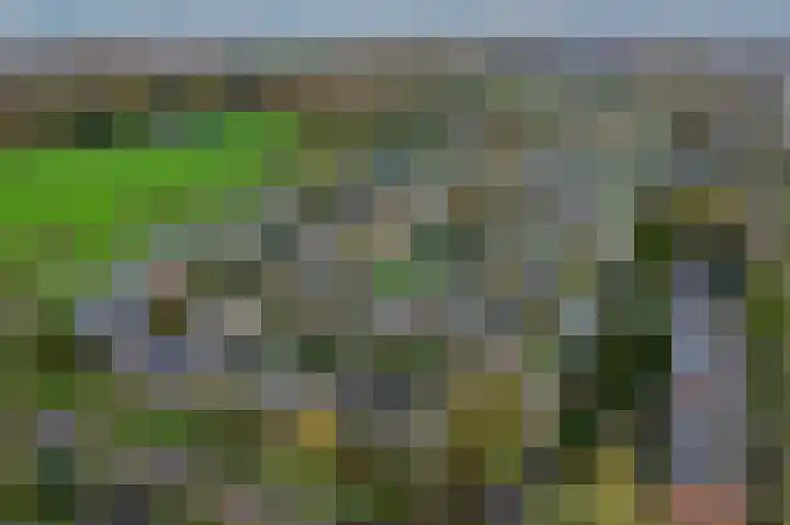 Heersmeeth 8 Heiloo thumbnail 24
