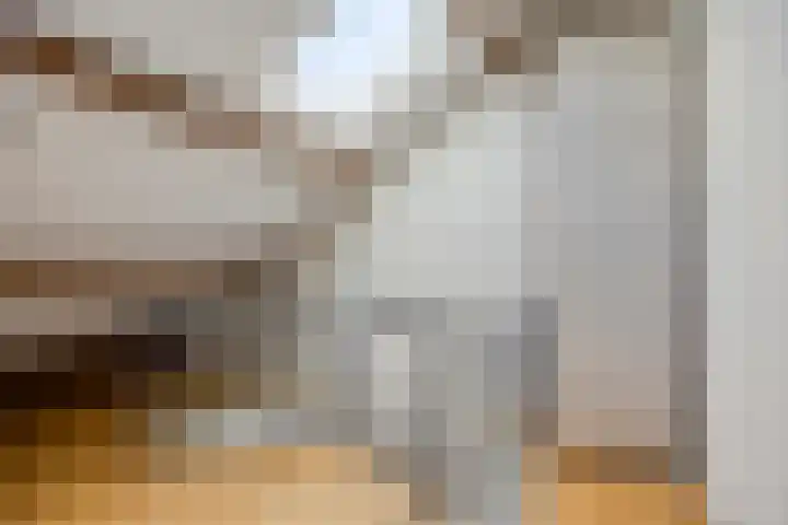 Heersmeeth 8 Heiloo thumbnail 33