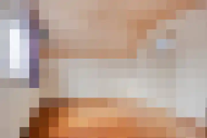Heersmeeth 8 Heiloo thumbnail 35