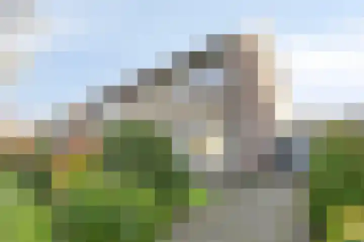 Heersmeeth 8 Heiloo thumbnail 38