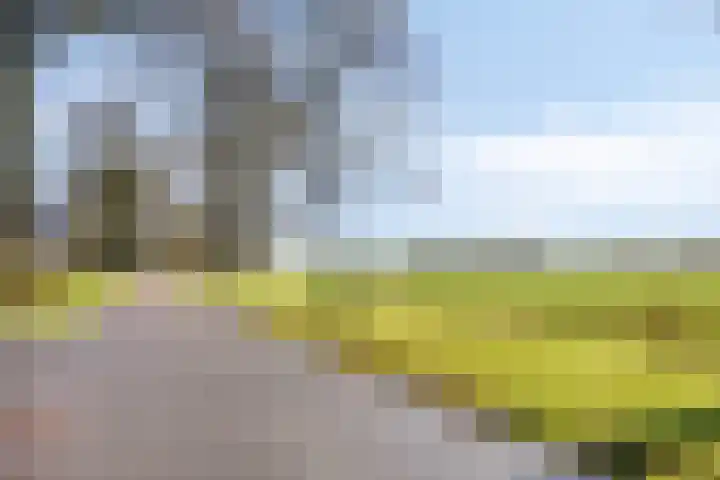 Heersmeeth 8 Heiloo thumbnail 41