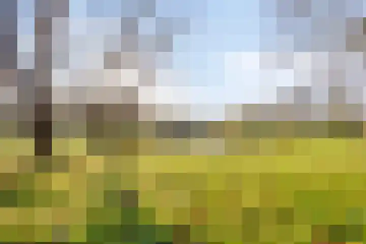 Heersmeeth 8 Heiloo thumbnail 42