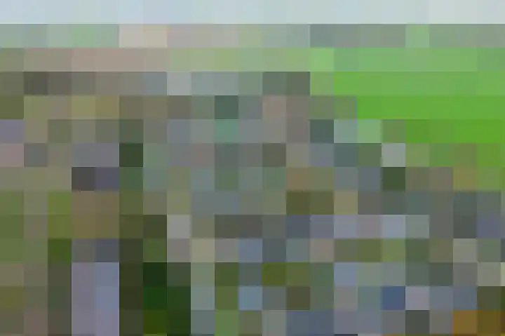 Heersmeeth 8 Heiloo thumbnail 43