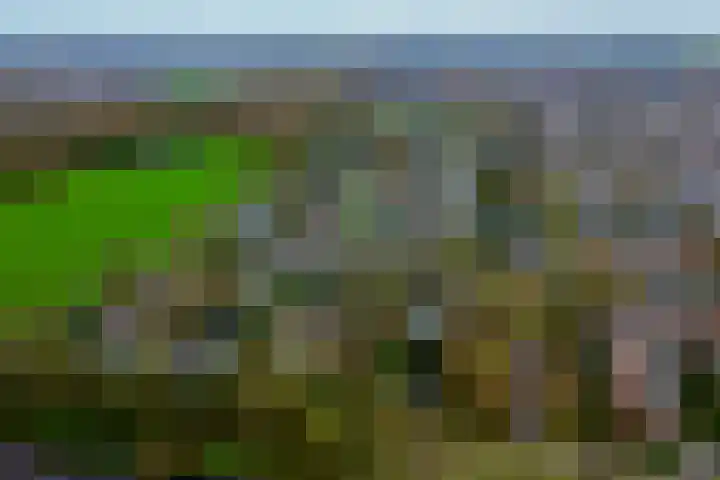 Heersmeeth 8 Heiloo thumbnail 44