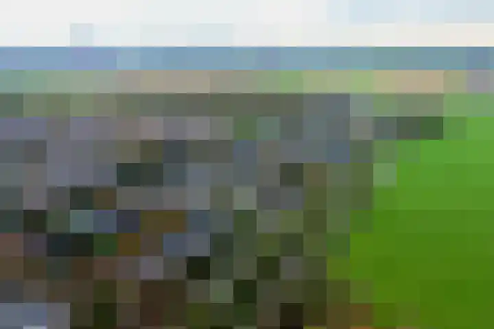 Heersmeeth 8 Heiloo thumbnail 5
