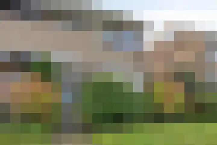 Heersmeeth 8 Heiloo thumbnail 8