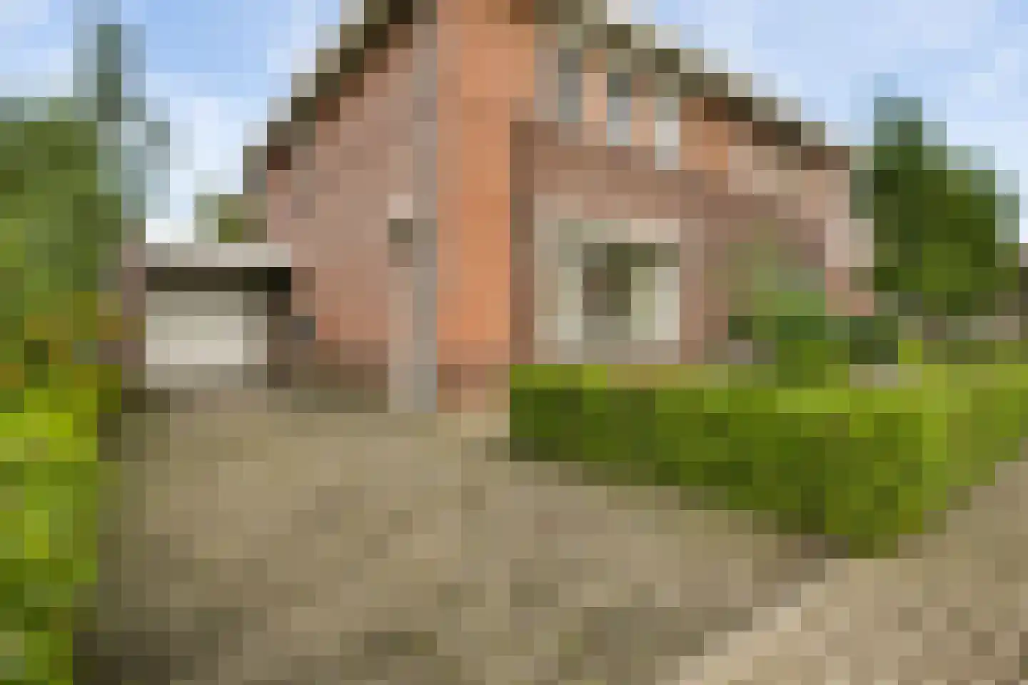Heerspad 18 Weert thumbnail 11
