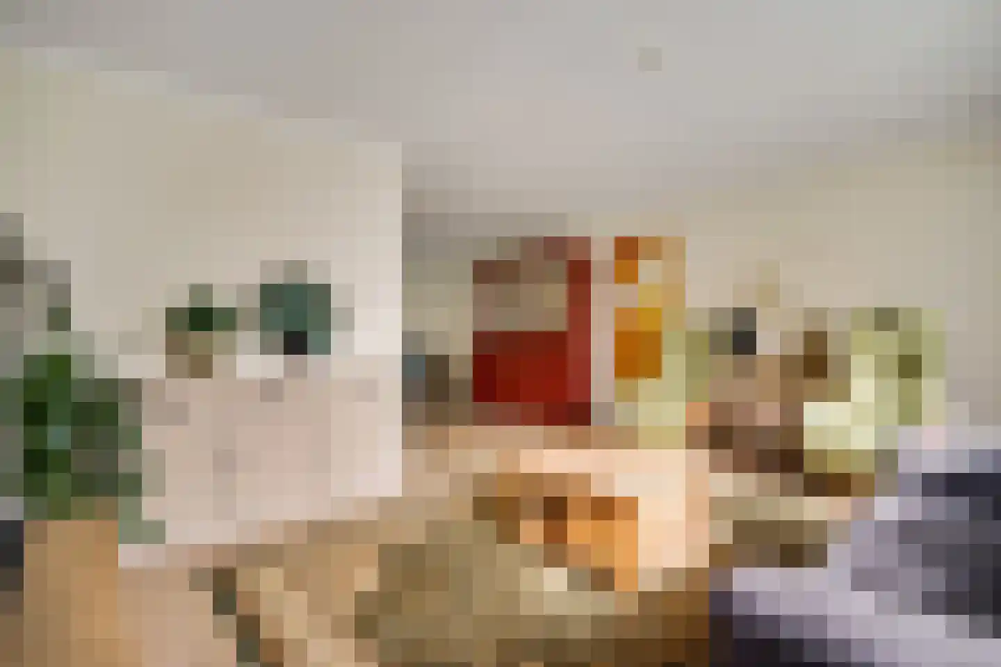 Heerspad 18 Weert thumbnail 19