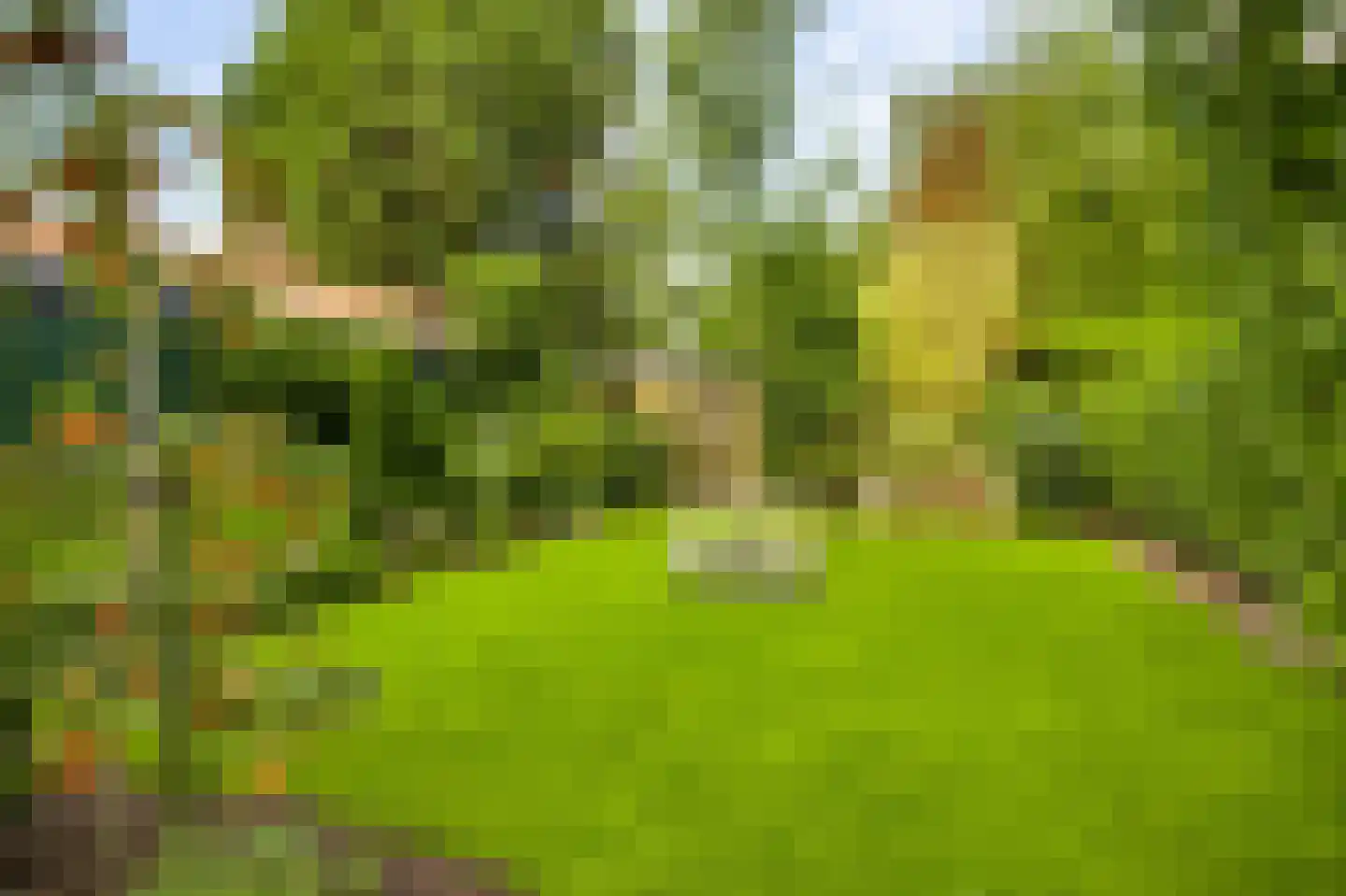 Heerspad 18 Weert thumbnail 46