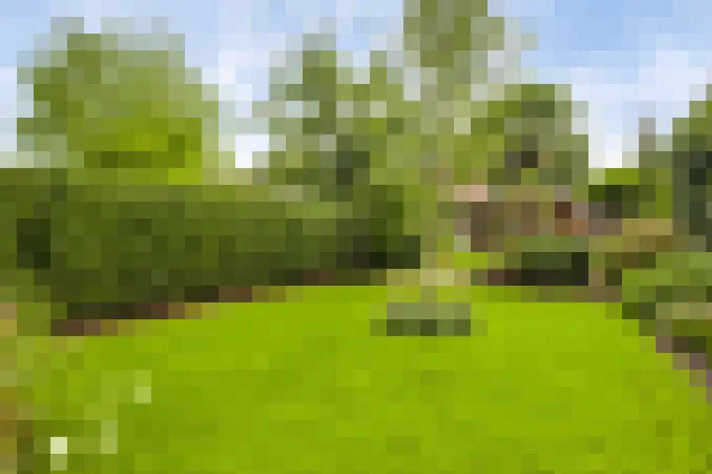 Heerspad 18 Weert thumbnail 47