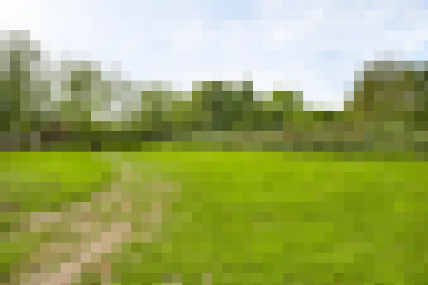 Heerspad 18 Weert thumbnail 56