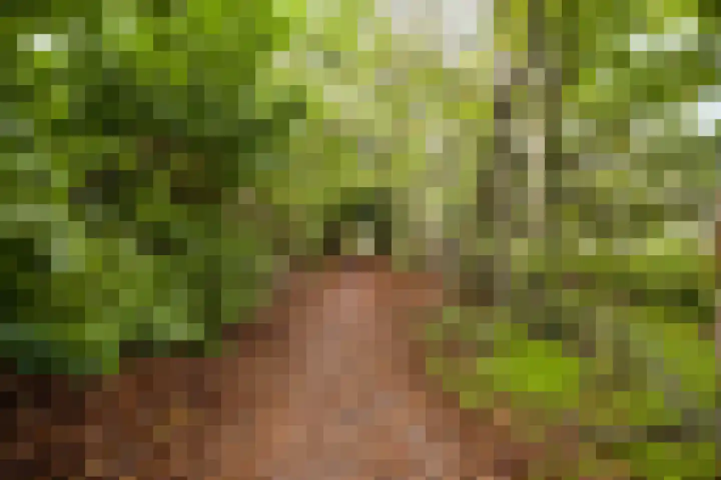 Heerspad 18 Weert thumbnail 57