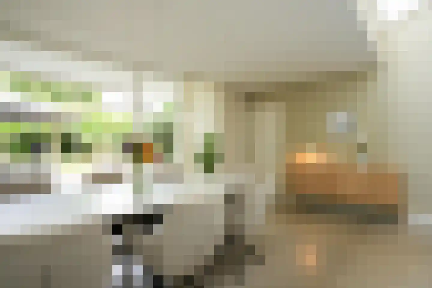 Heerstraat 12 Epen thumbnail 11