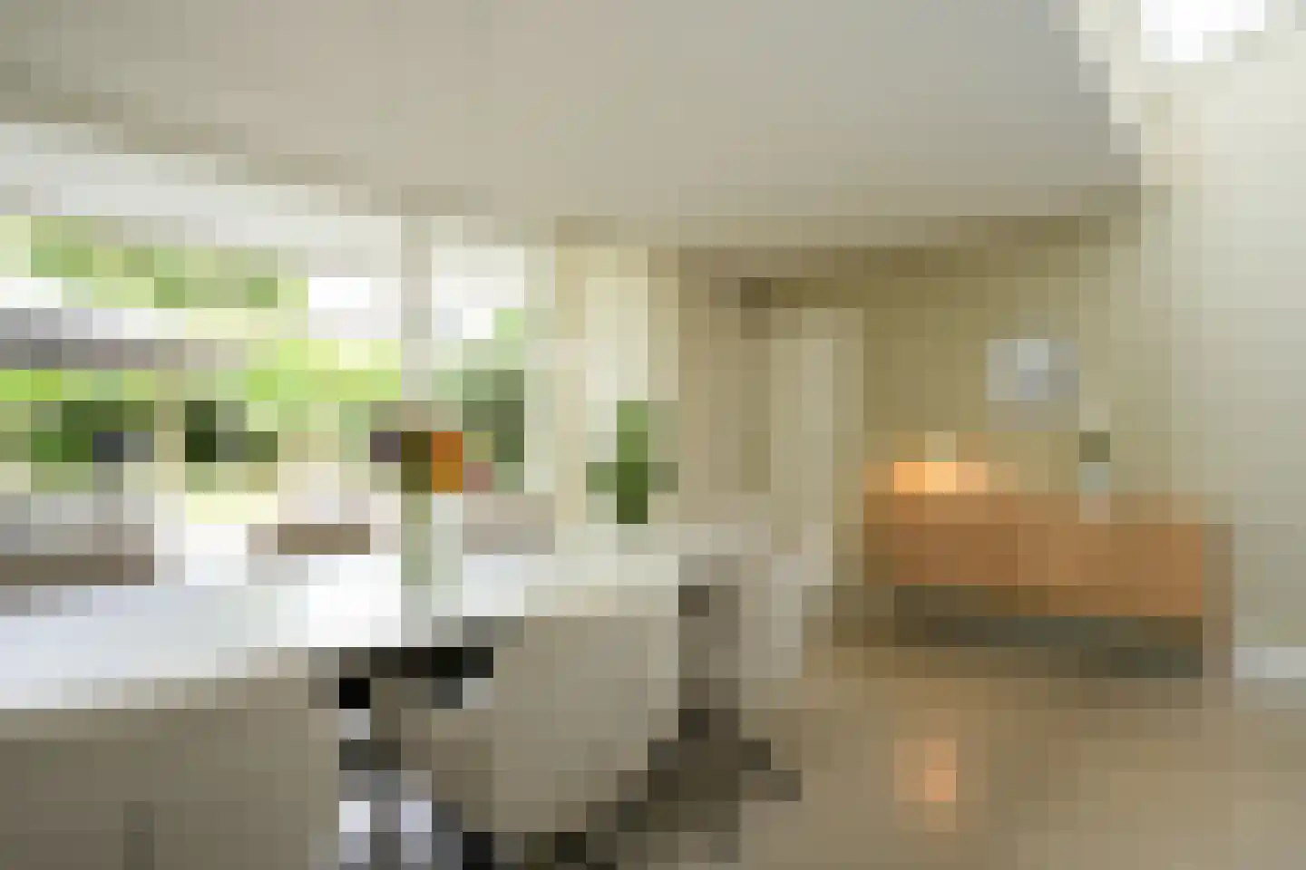 Heerstraat 12 Epen thumbnail 11