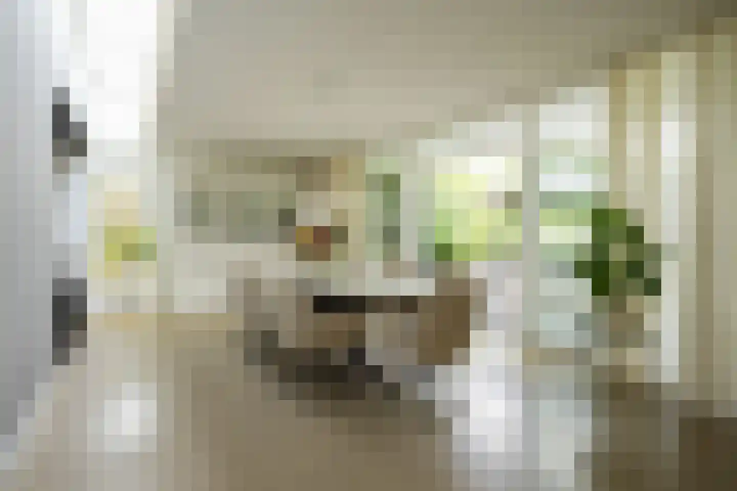 Heerstraat 12 Epen thumbnail 12