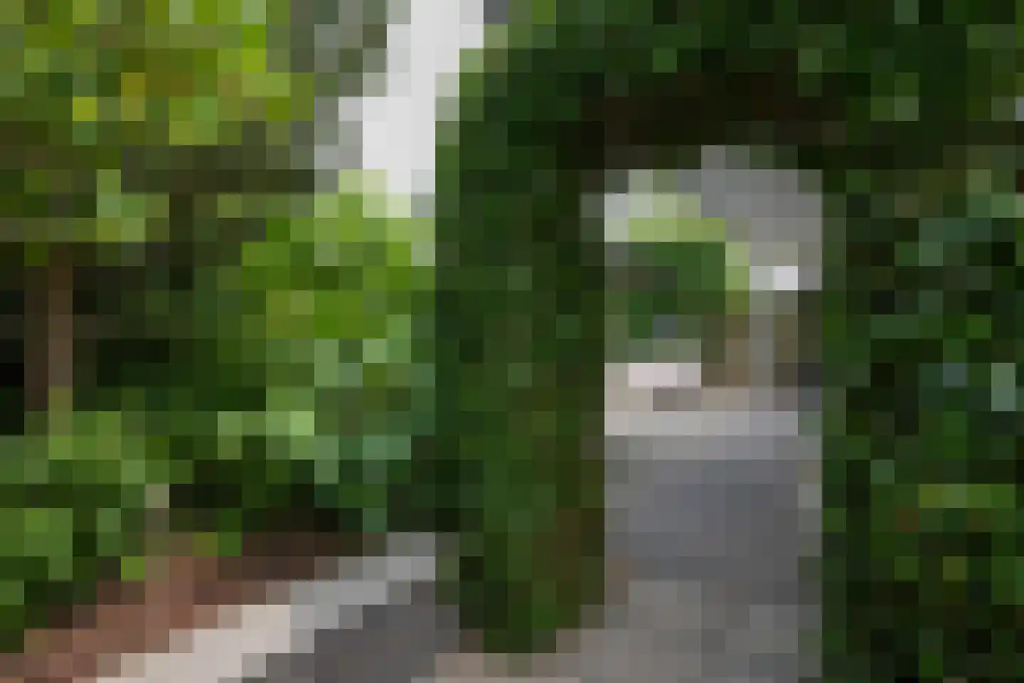 Heerstraat 12 Epen thumbnail 40