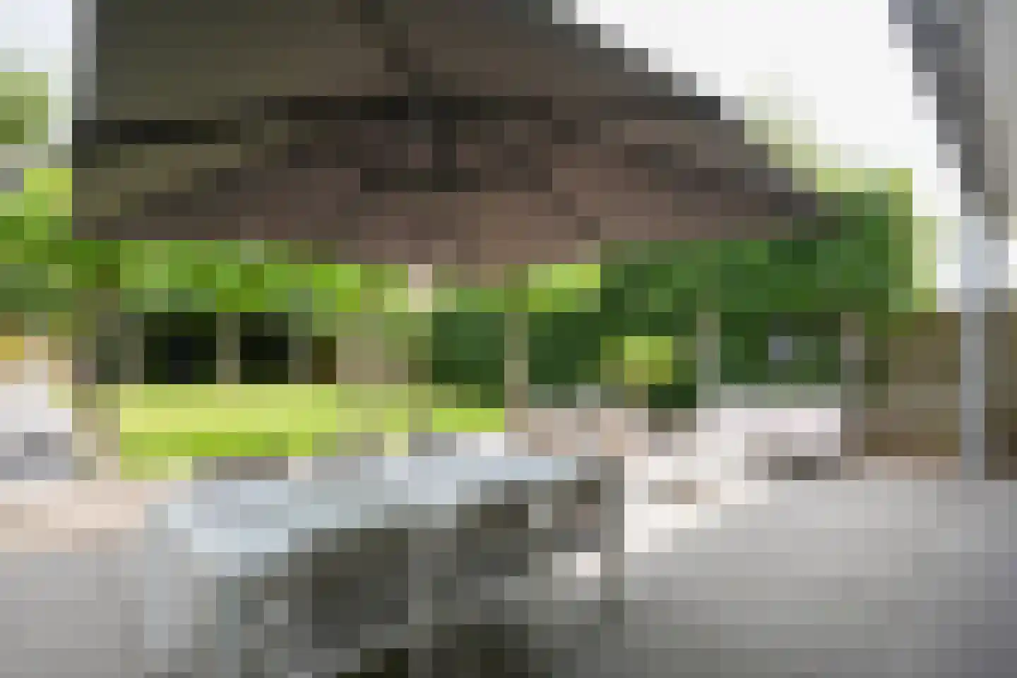 Heerstraat 12 Epen thumbnail 41