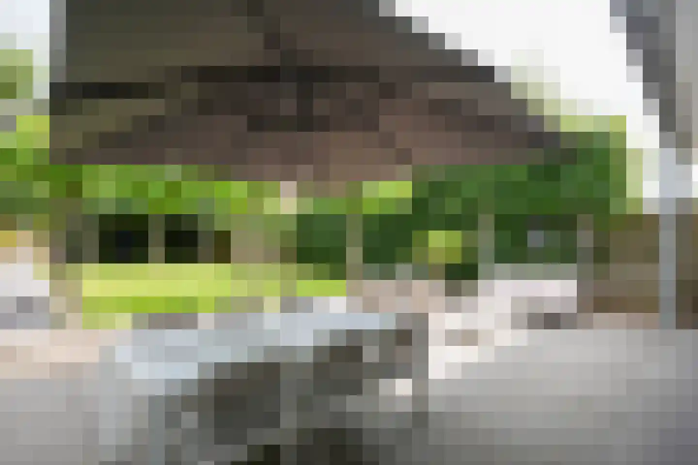 Heerstraat 12 Epen thumbnail 41