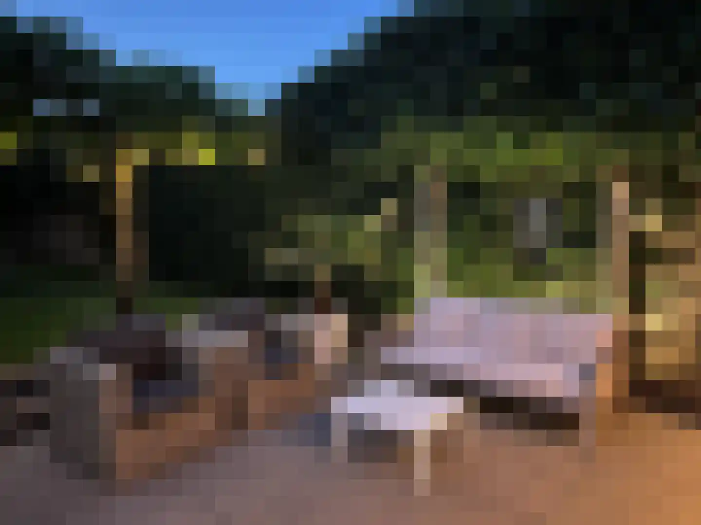 Heerstraat 12 Epen thumbnail 54