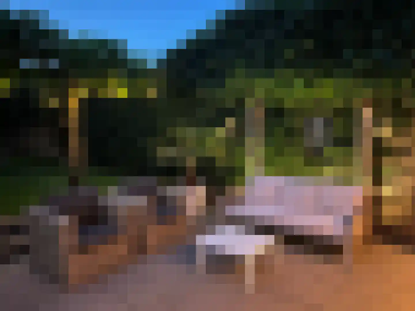 Heerstraat 12 Epen thumbnail 54