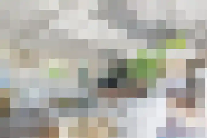 Heerstraat 2 Leende thumbnail 17
