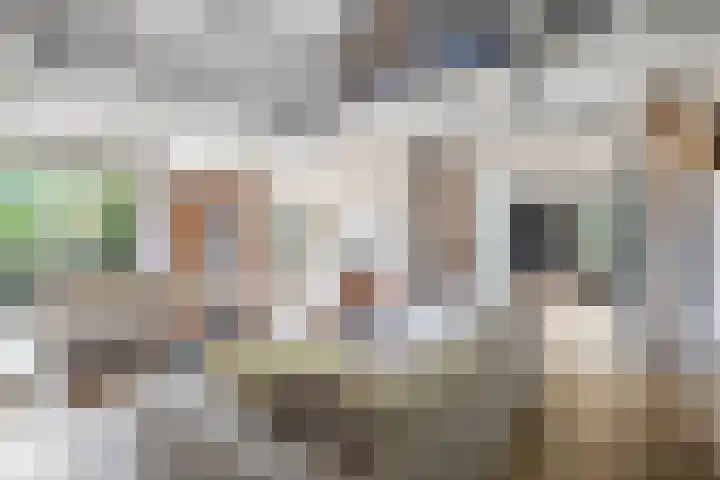 Heerstraat 2 Leende thumbnail 18