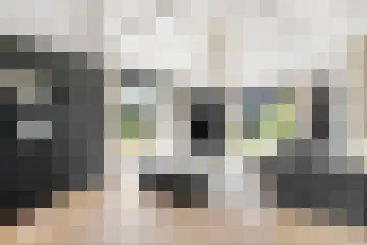 Heerstraat 2 Leende thumbnail 23