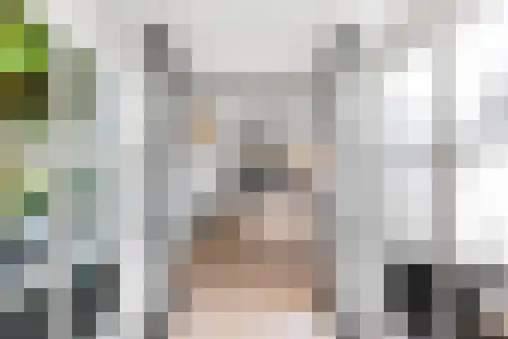 Heerstraat 2 Leende thumbnail 27